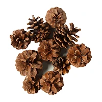 Pinecone Bag by Ashland®
