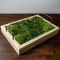 Preserved Green Sheet Moss Bag