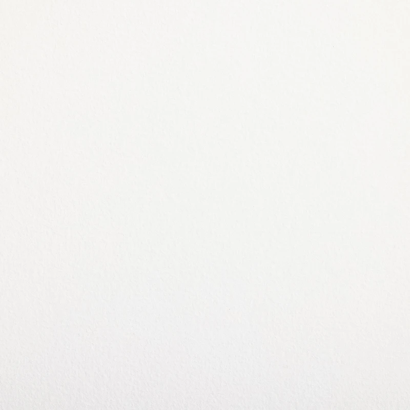 Canson® Artist Series Mixed Media Pad 