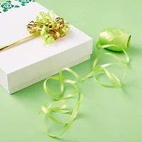 66ft. Citrus Lime Ribbon Keg By Celebrate It™