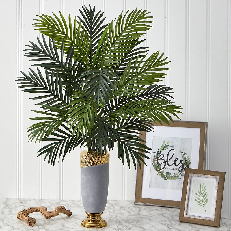 3ft. Areca Palm Plant in Designer Planter