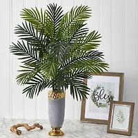 3ft. Areca Palm Plant in Designer Planter