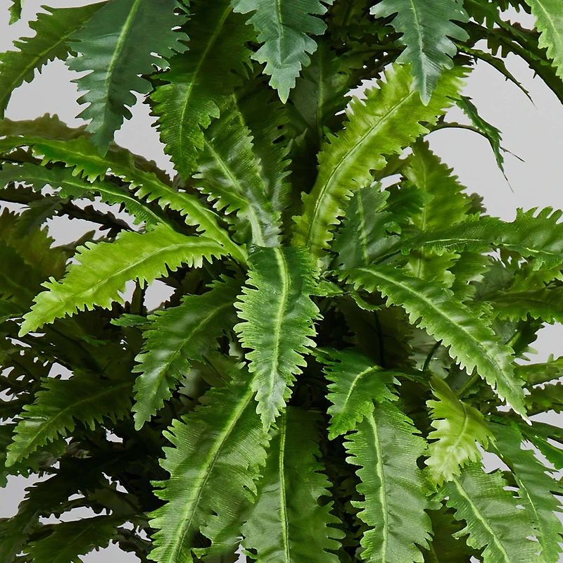4ft. Marginatum in White Tower Vase