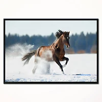 Designart - Horse Running in Winter