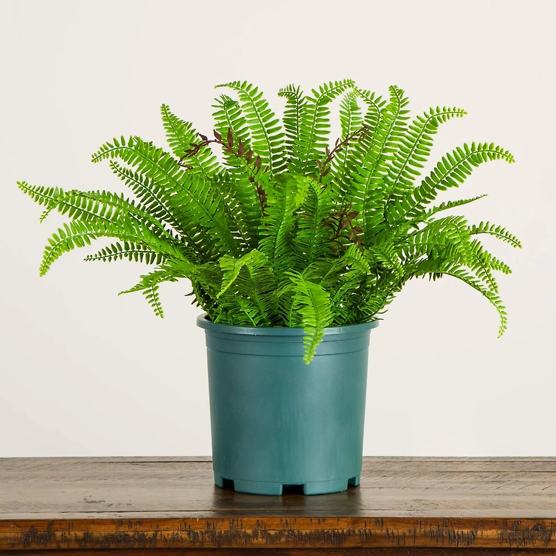 23in. UV Resistant Artificial Boston Fern Plant with Real Touch Leaves (Indoor/Outdoor)