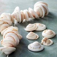 Natural Shell Nugget Beads, 13mm by Bead Landing™