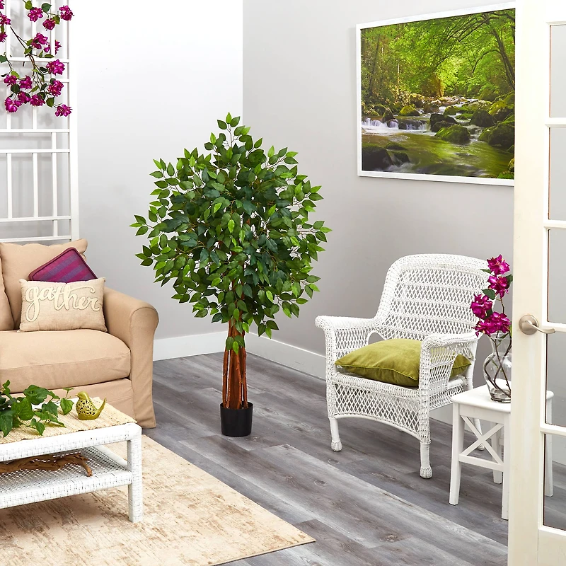 4.5ft. Potted Super Deluxe Ficus Tree