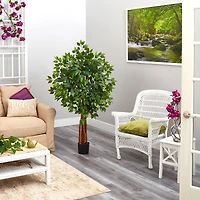 4.5ft. Potted Super Deluxe Ficus Tree