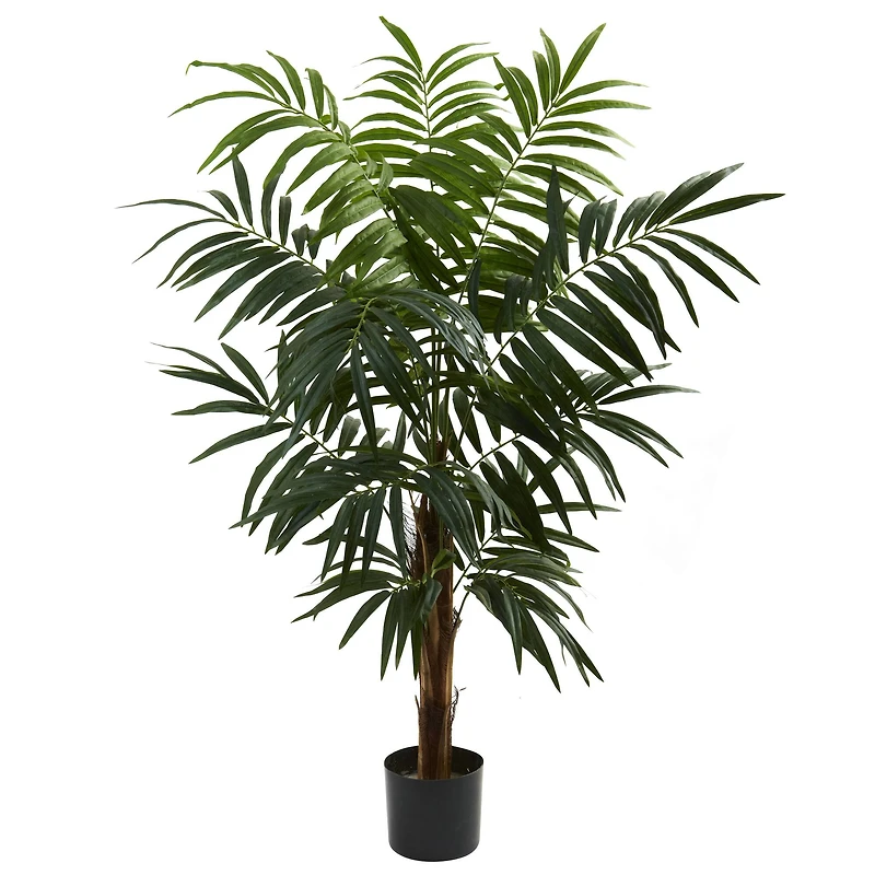 4.5ft. Potted Bulb Areca Palm Tree