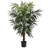4.5ft. Potted Bulb Areca Palm Tree