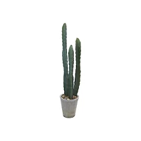 Hello Honey® Round Faux Green Euphorbia Cactus in Cement Pot with Pebbles