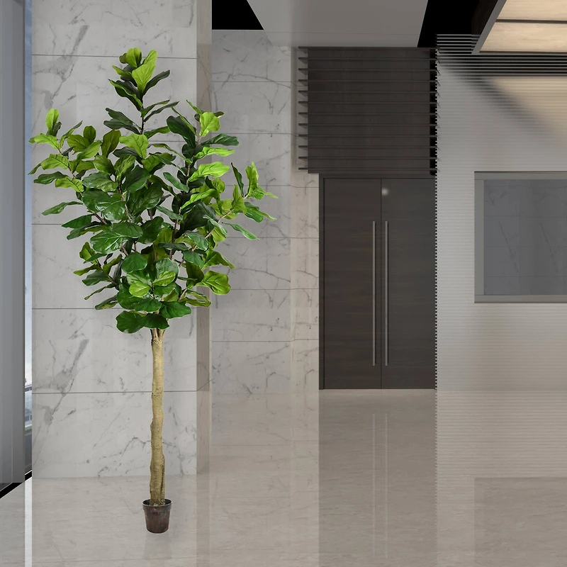 10ft. Potted Fiddle Tree