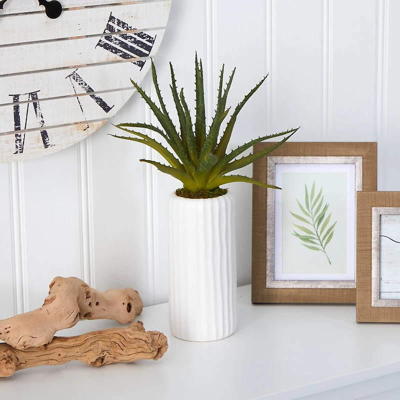 15" Aloe Plant in Decorative White Planter