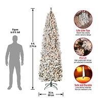 9ft. Pre-Lit Acacia Flocked Artificial Christmas Tree, Clear Lights