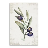 Lumaprints Olea Canvas Giclée