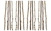 Hello Honey® 59" Long Wood Birch Branches, 16ct.