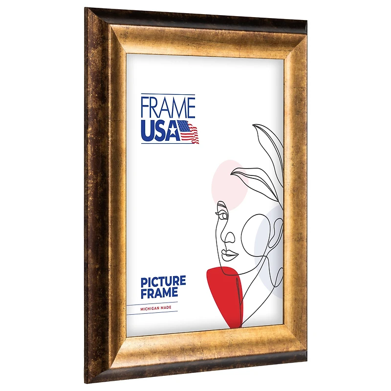 Frame USA Verona Narrow Bronze Single Image Picture Frame