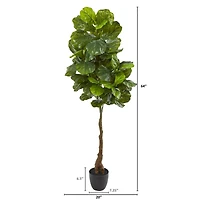 5.3ft. Fiddle Leaf Tree with White Planter