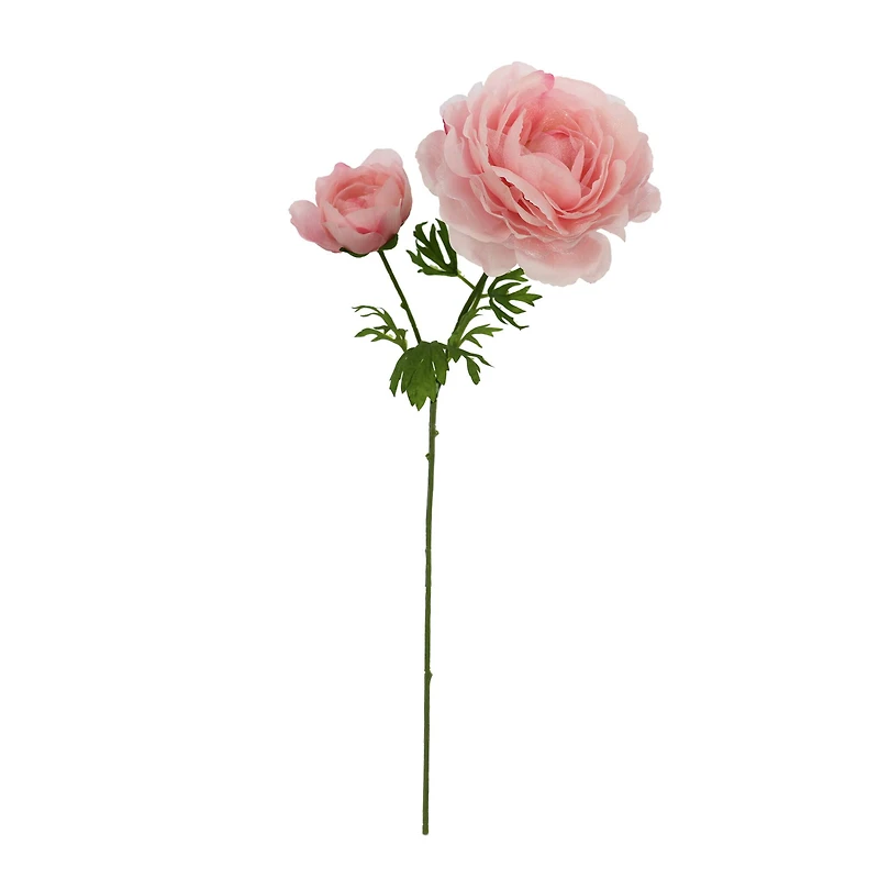27" Blush Sheer Ranunculus Stem by Ashland®