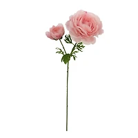 27" Blush Sheer Ranunculus Stem by Ashland®
