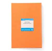 12 Packs: 65 ct. (780 total) 6" x 9" Primary Foam Sheets Value Pack by Creatology™