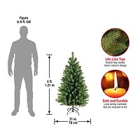 4ft. Unlit North Valley® Spruce Artificial Christmas Tree