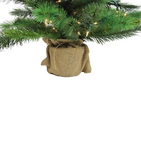 3ft. Pre-Lit New Carolina Spruce Artificial Potted Christmas Tree, Clear Lights