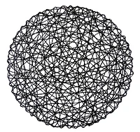 DII® Woven Paper Round Placemats