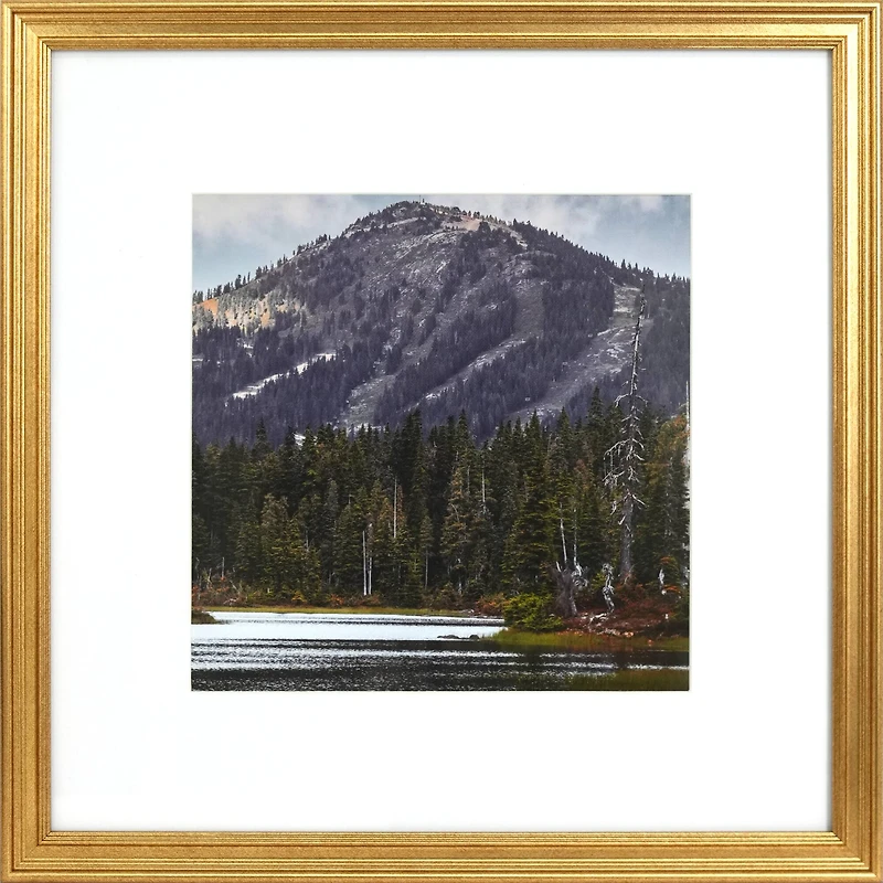 6 Packs: 3 ct. (18 total) Gallery™ Gold Frame with Mat by Studio Décor®