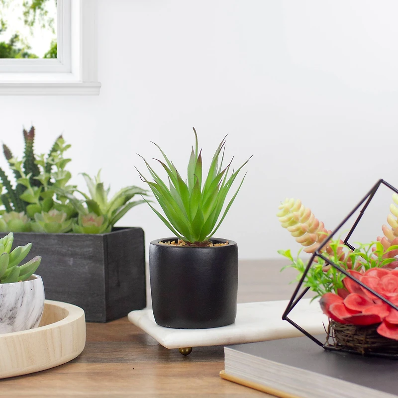 7" Green Sword Grass in Black Pot