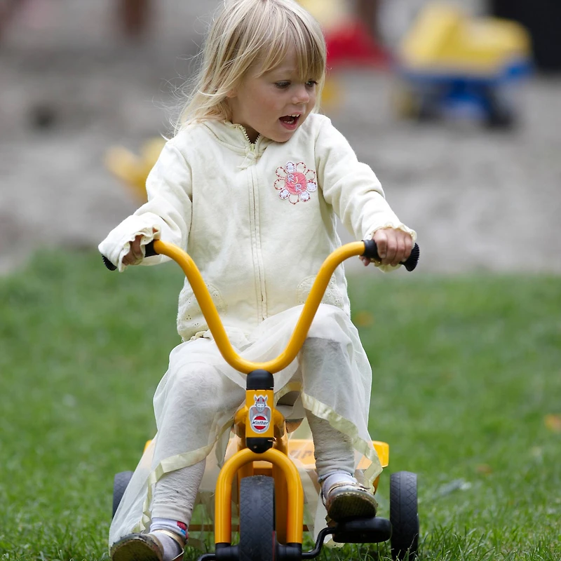 Winther Tricycle with Tray