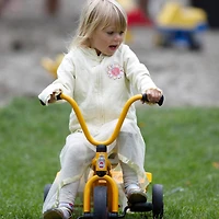 Winther Tricycle with Tray