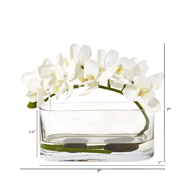 7" Moth Orchid Arrangement in Glass Vase