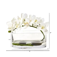 7" Moth Orchid Arrangement in Glass Vase
