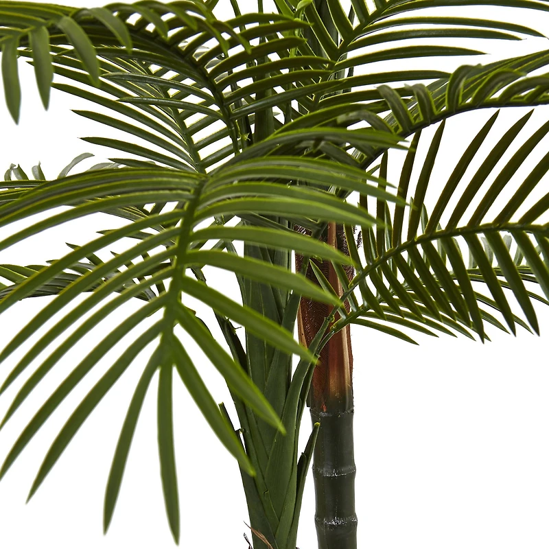 5.5ft. Potted Double Robellini Palm Tree
