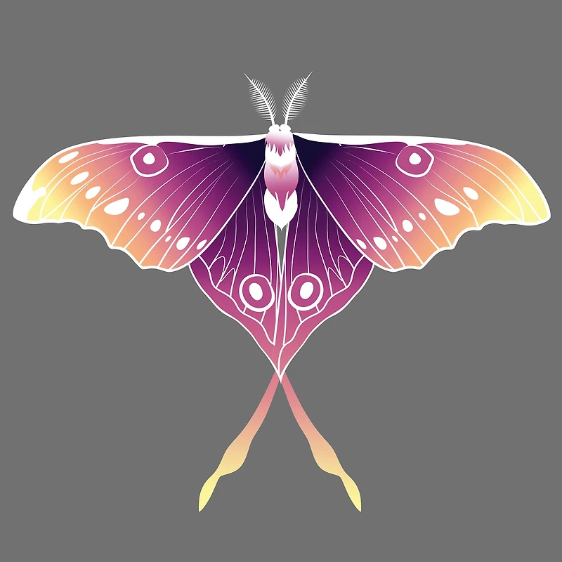 4" x 4" Moths Canvas Painting Kit by Craft Smart®