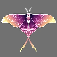 4" x 4" Moths Canvas Painting Kit by Craft Smart®