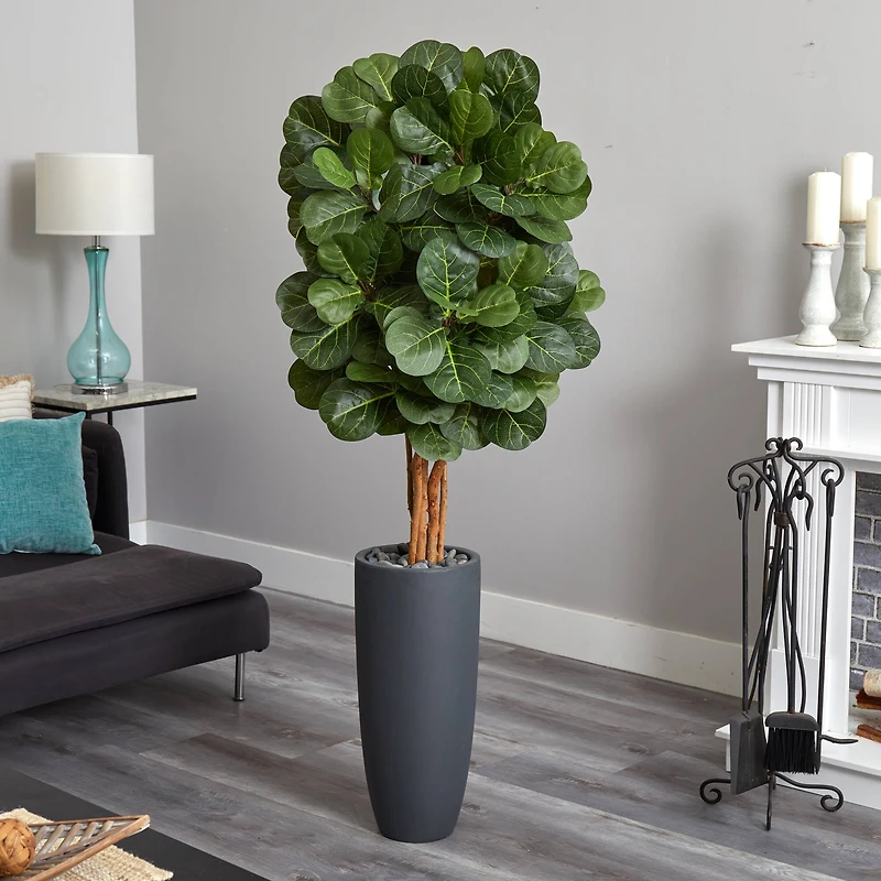 5.5ft. Fiddle Leaf Tree in Gray Cylinder Planter