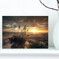 Designart - Grassy and beach sunset
