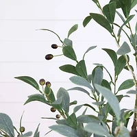 4ft. Pre-Lit Artificial Fruiting Olive Tree with Warm White LED Lights