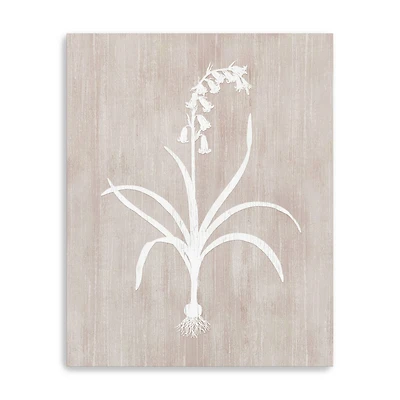 Botany Beauty I Canvas Giclee