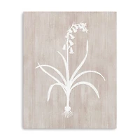 Botany Beauty I Canvas Giclee