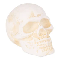 DII® Human Skull Cast Iron Paperweight
