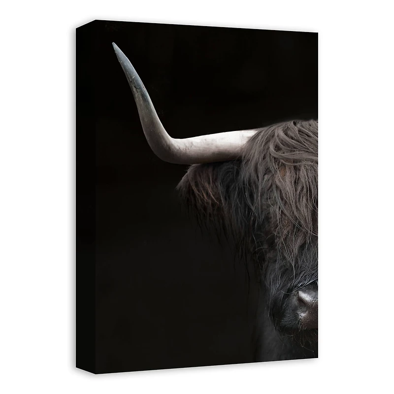 Highland Majesty 12" x 18" Canvas Wall Art