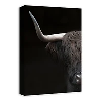 Highland Majesty 12" x 18" Canvas Wall Art