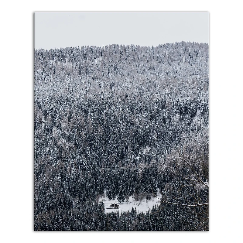 Unsplash Cabin Snowy Woods 16x20 Canvas Wall Art