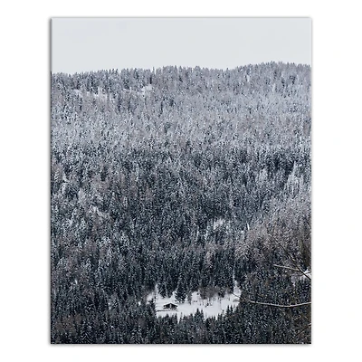 Unsplash Cabin Snowy Woods 16x20 Canvas Wall Art