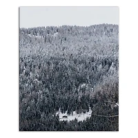 Unsplash Cabin Snowy Woods 16x20 Canvas Wall Art
