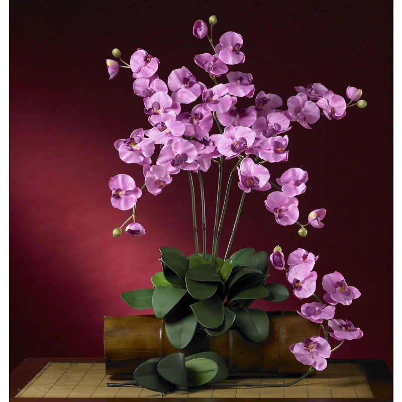 Purple Moth Orchid Stem, 12ct.