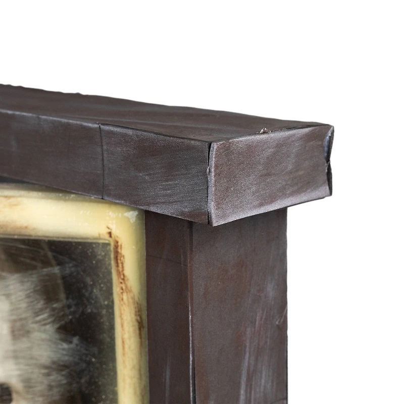 2.5ft. Lighted & Animated Opening Window Halloween Décor